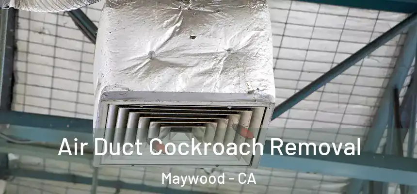  Air Duct Cockroach Removal Maywood - CA