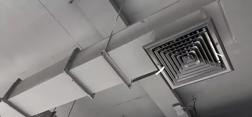 Our Rodent Droppings In Vents Services in Maywood, CA