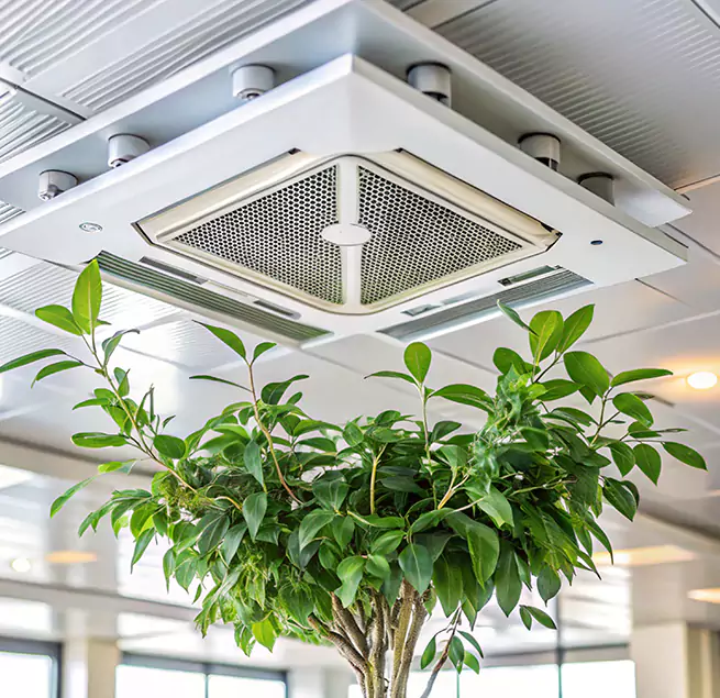 Why Homeowners & Businesses Trust Us in Maywood, CA?