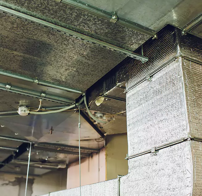 Why Homeowners & Businesses Trust Us in Maywood, CA?